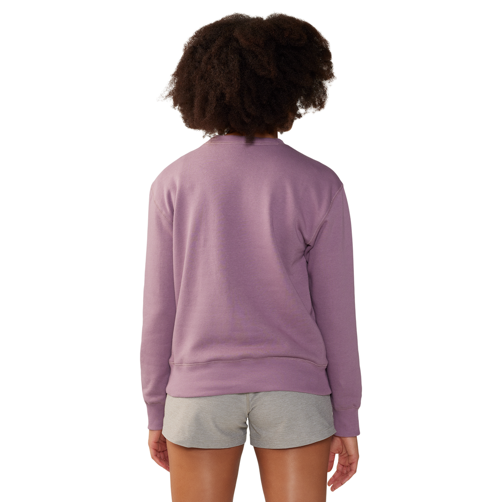 Mountain Hardwear W MHW Logo Pullover Crew in