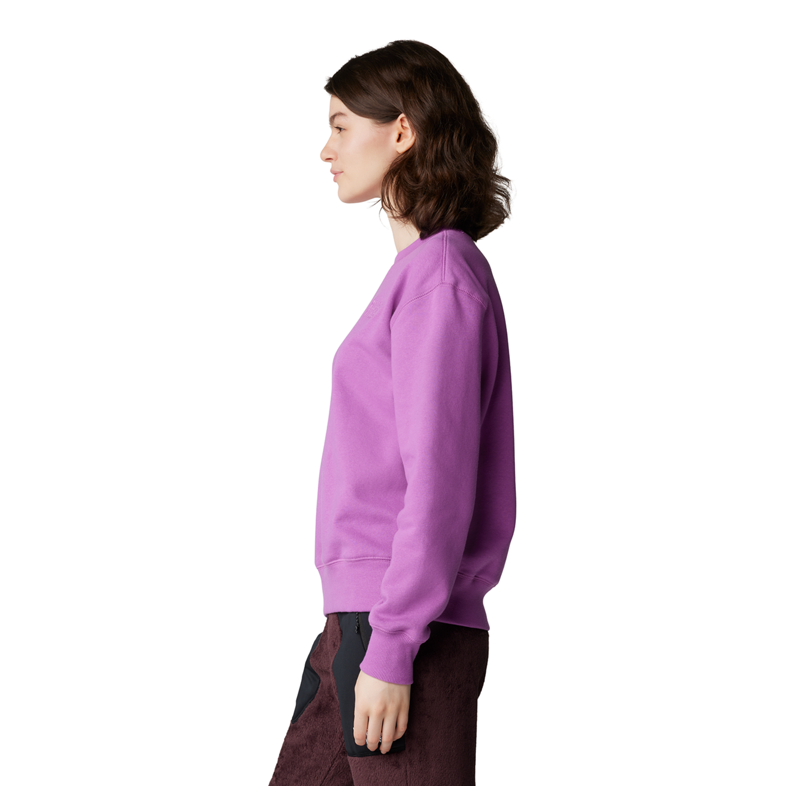 Mountain Hardwear W MHW Logo Pullover Crew in