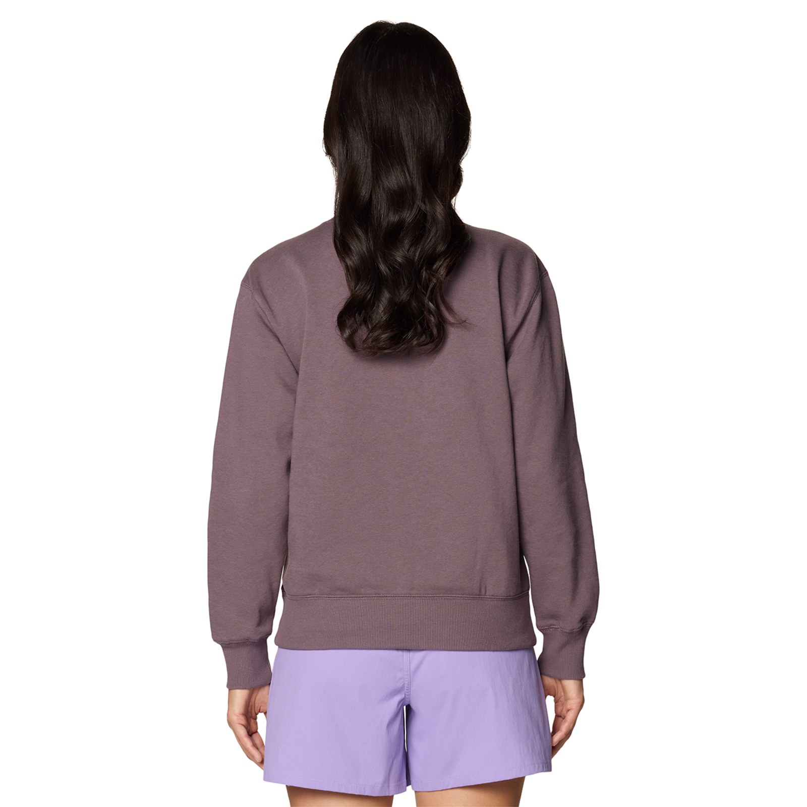 Mountain Hardwear W MHW Logo Pullover Crew in
