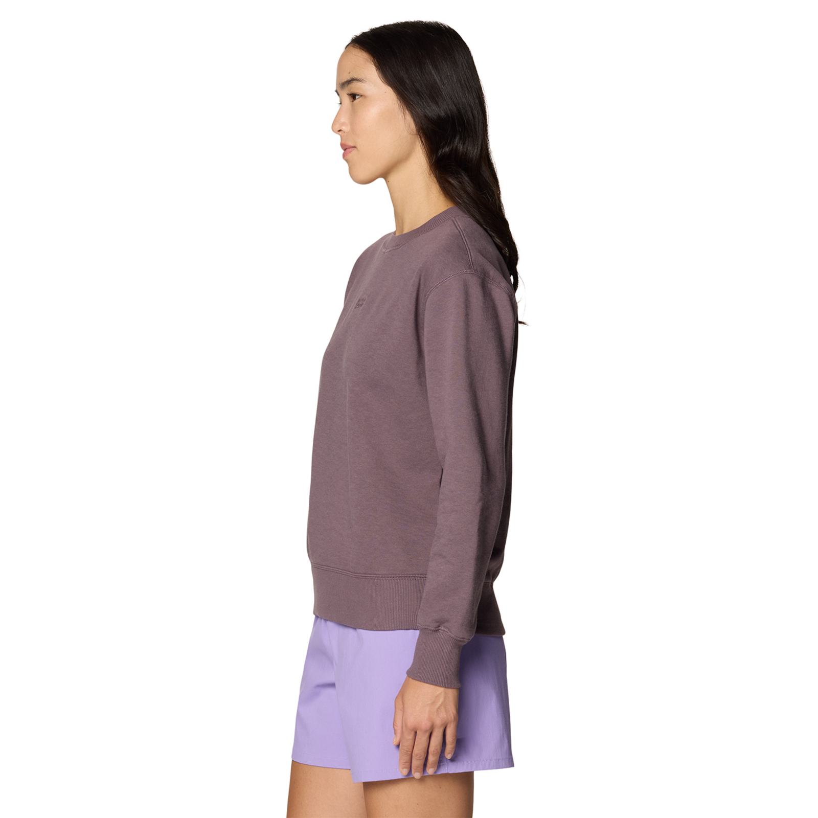 Mountain Hardwear W MHW Logo Pullover Crew in