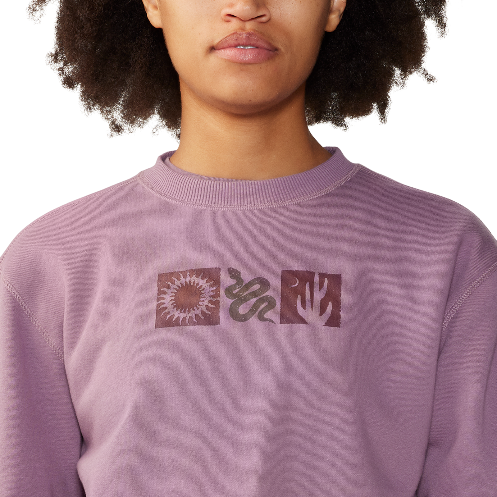 Mountain Hardwear W Desert Check™ Pullover Crew in