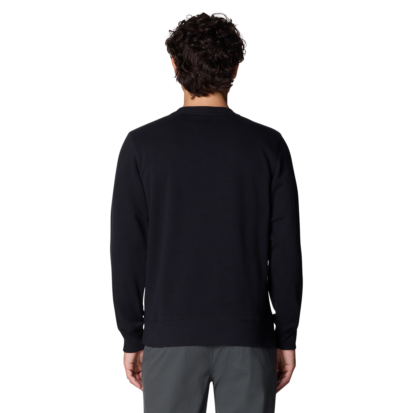 Mountain Hardwear M MHW Logo Pullover Crew in