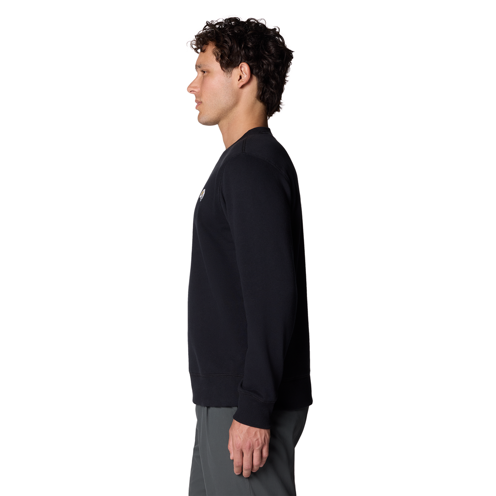 Mountain Hardwear M MHW Logo Pullover Crew in