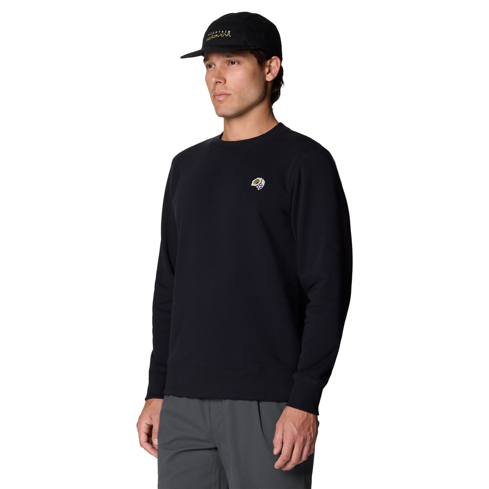 Mountain Hardwear M MHW Logo Pullover Crew in