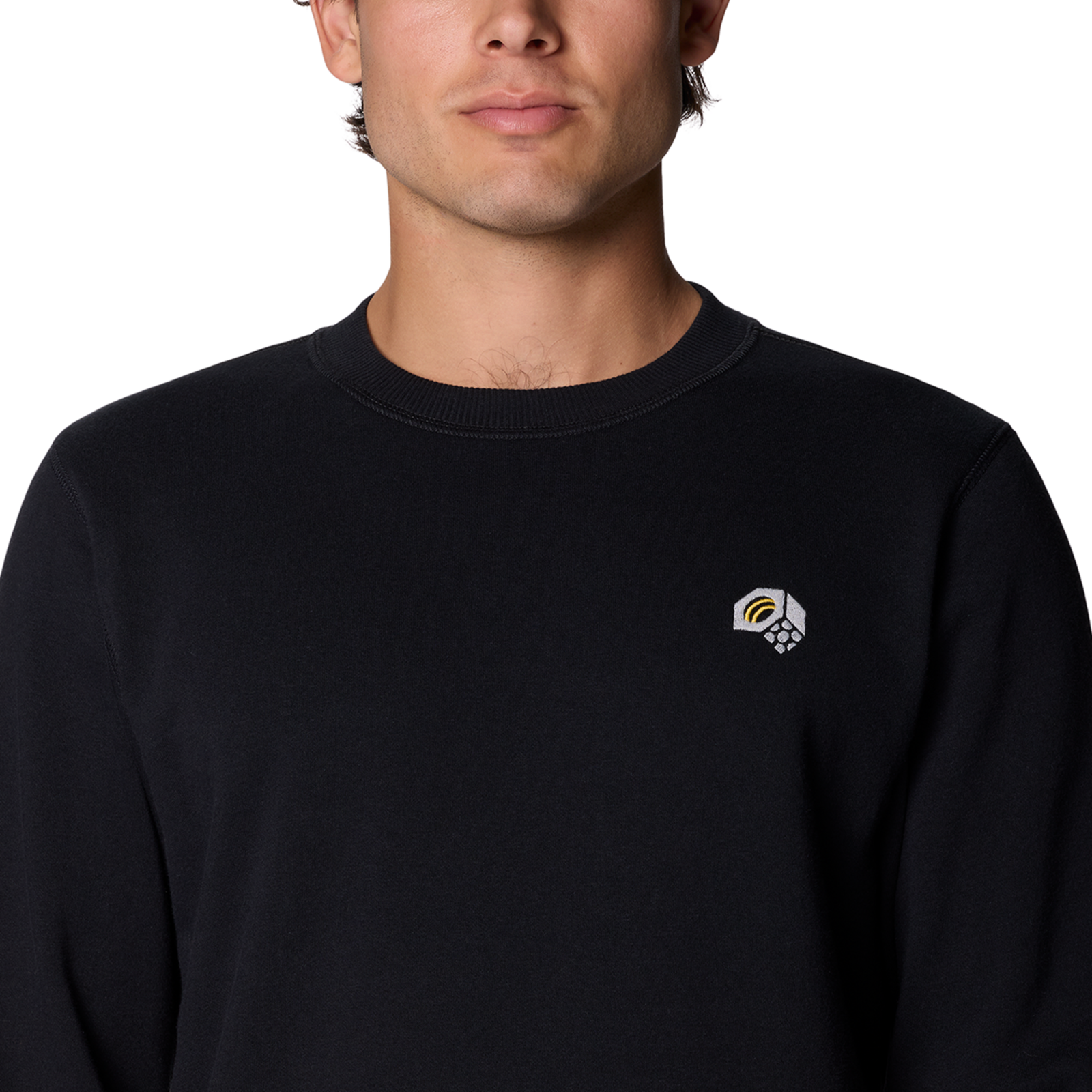 Mountain Hardwear M MHW Logo Pullover Crew in