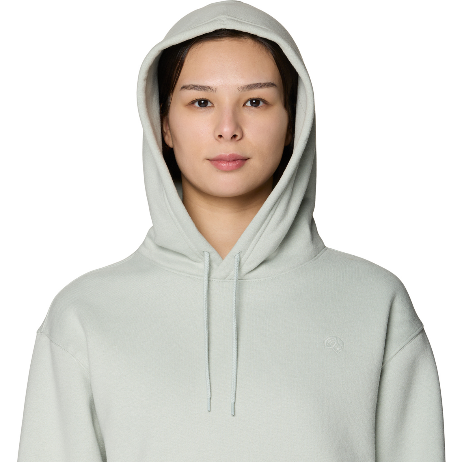 Mountain Hardwear W MHW™ Logo Pullover Hoody in