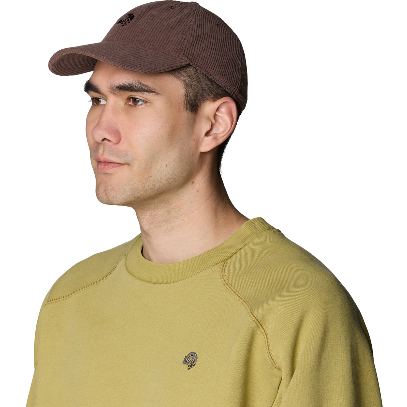 Mountain Hardwear Cordoroy Dad Cap in BRAUN