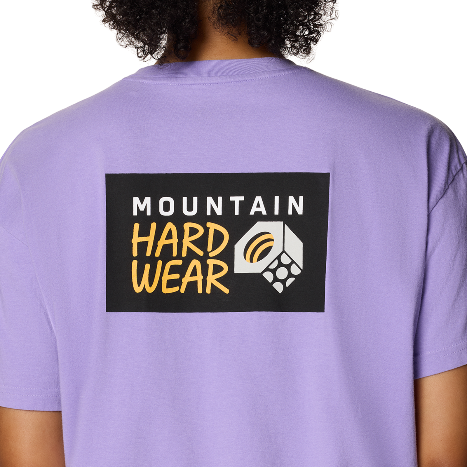 Mountain Hardwear W MHW™ Logo Boxy Crop Short Sleeve in