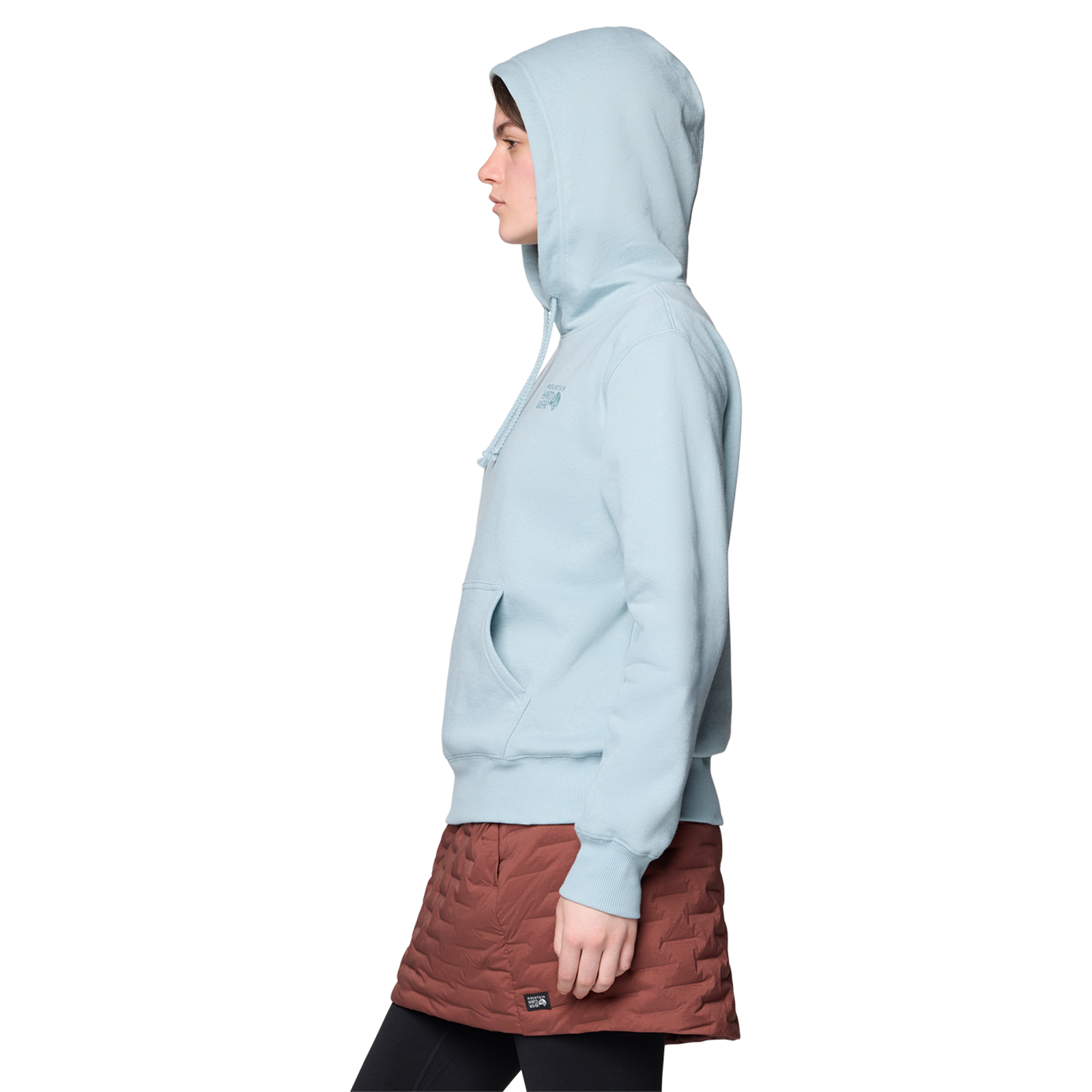 Mountain Hardwear W MHW™ Logo PO Hoody in