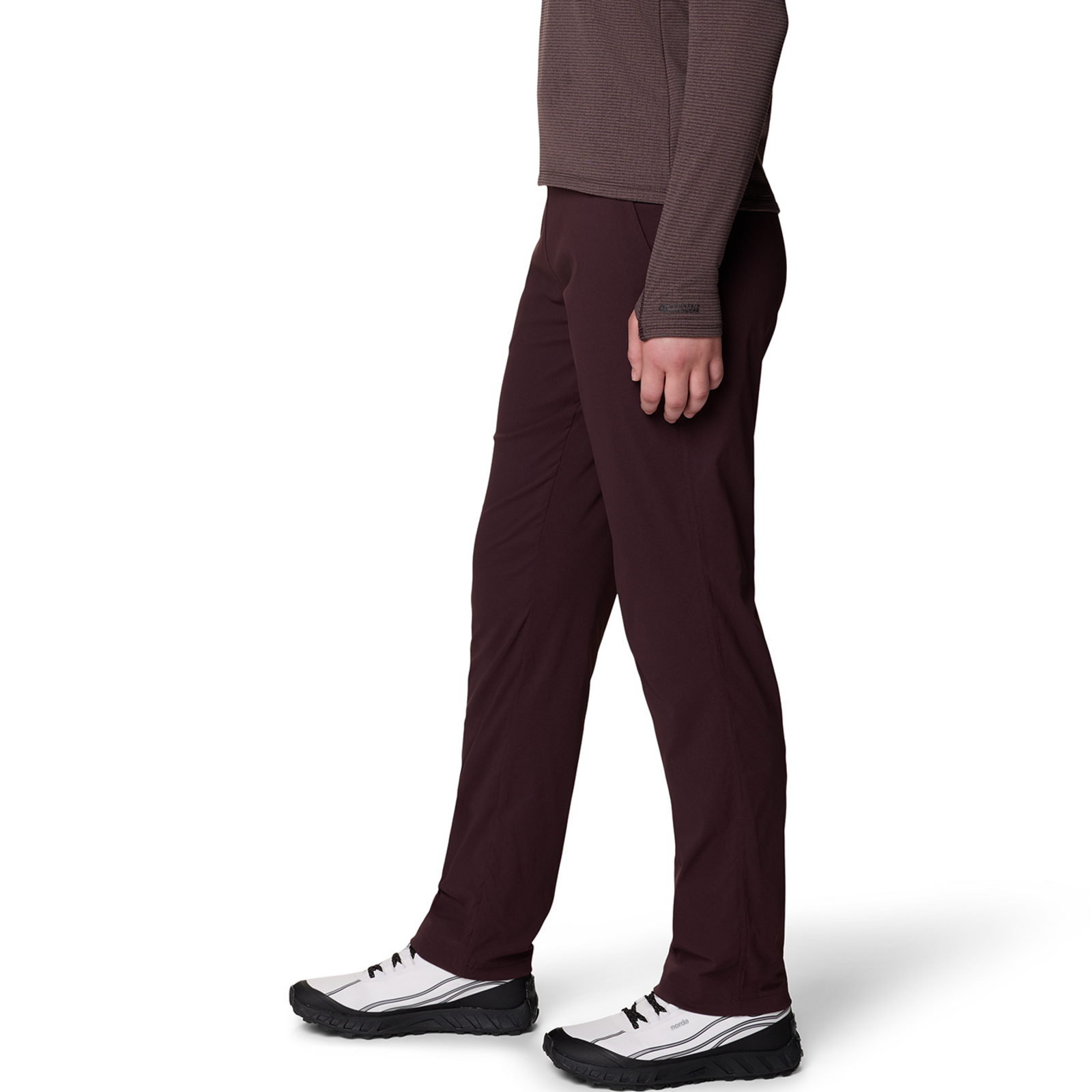 Mountain Hardwear W Dynama™ Lined Pant in VIOLETT