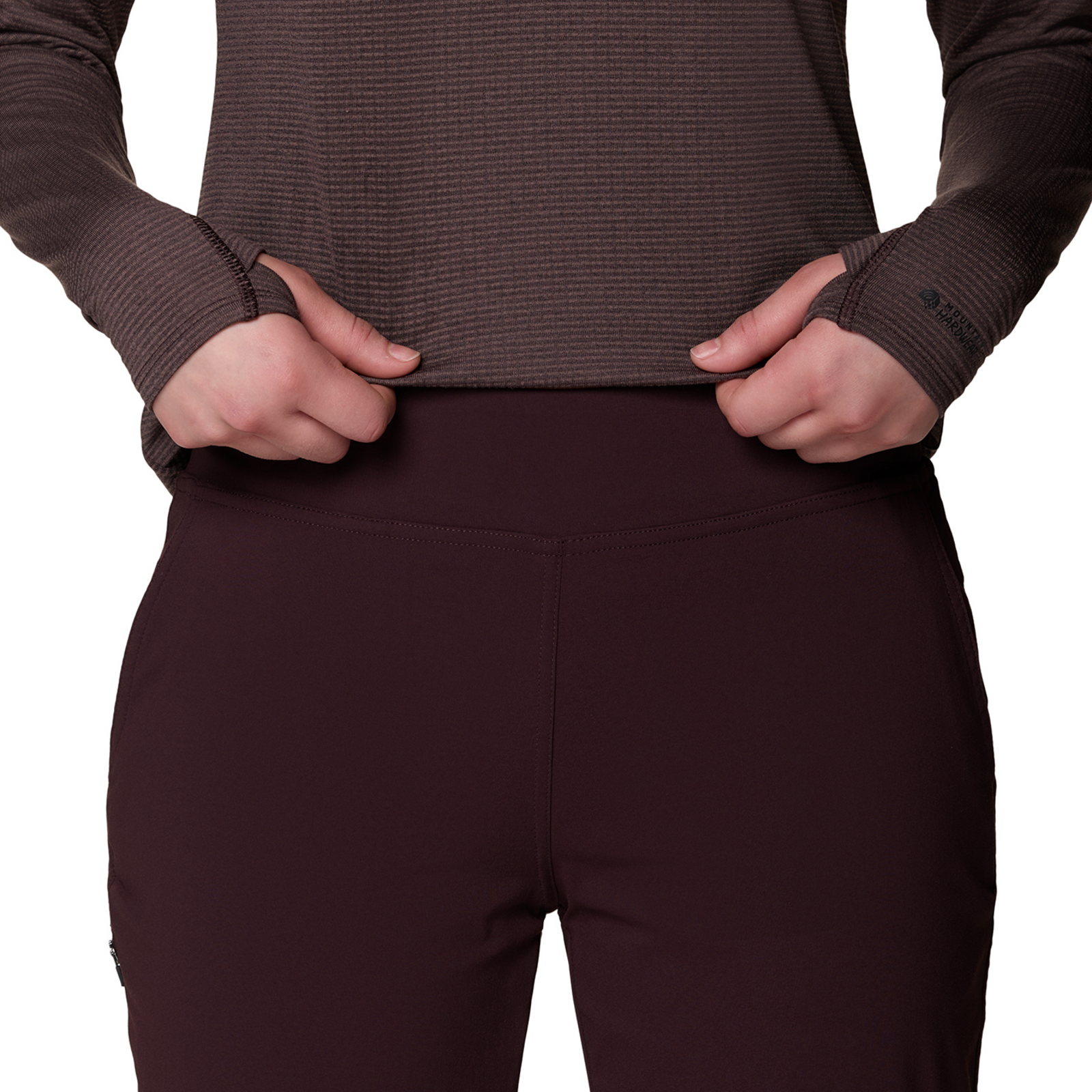 Mountain Hardwear W Dynama™ Lined Pant in VIOLETT