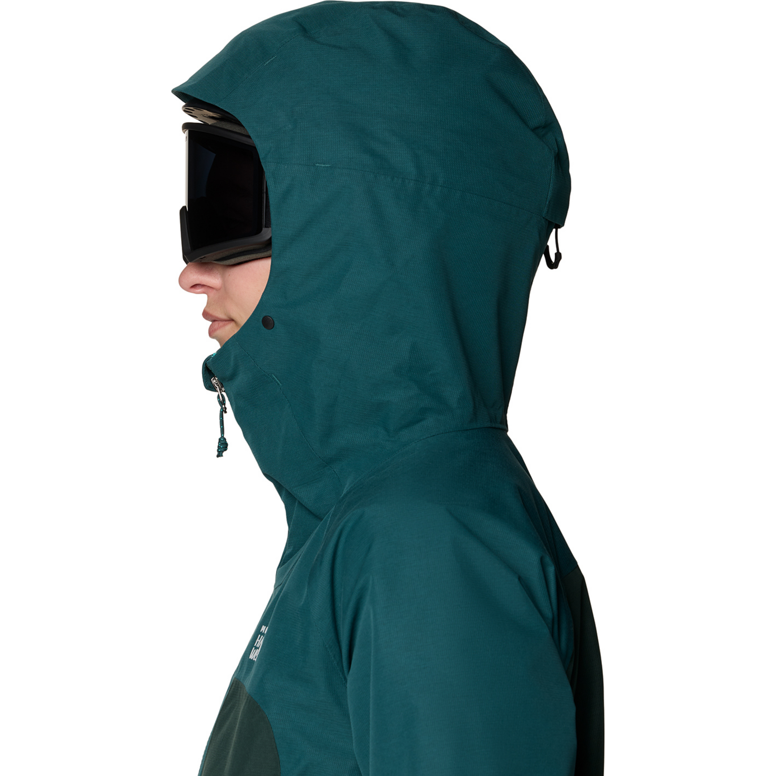 Mountain Hardwear W Cloud Bank™ GORE-TEX Jacket in