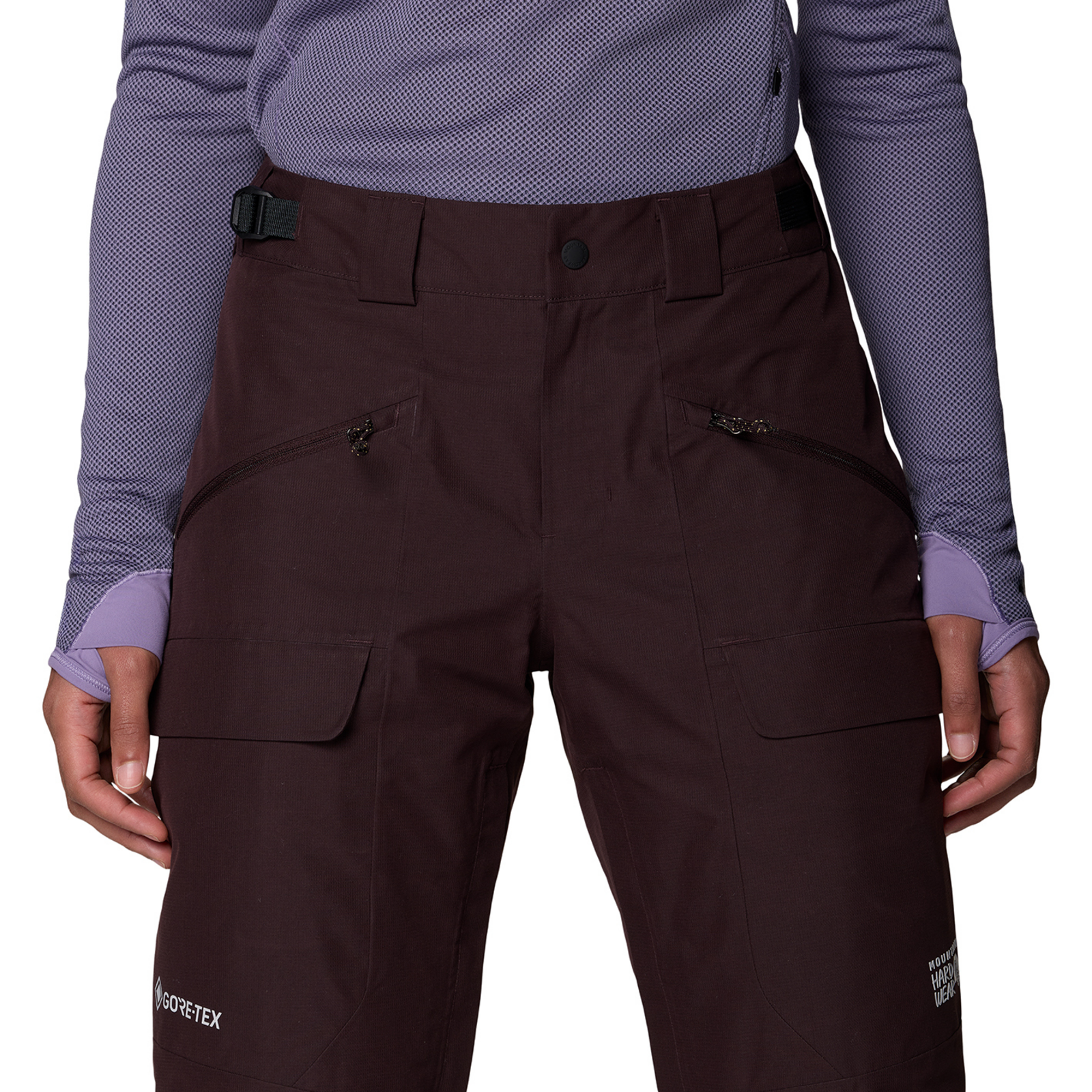 Mountain Hardwear W Cloud Bank™ GORE-TEX Pant in BRAUN