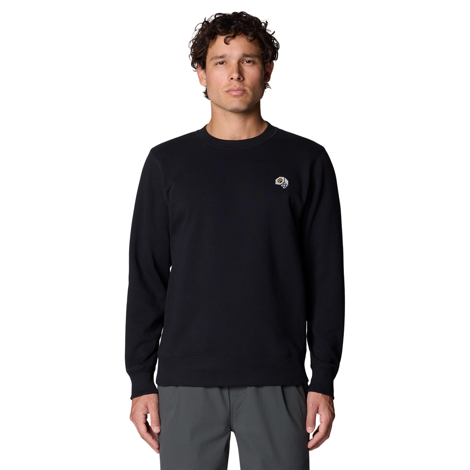 Mountain Hardwear M MHW Logo Pullover Crew in