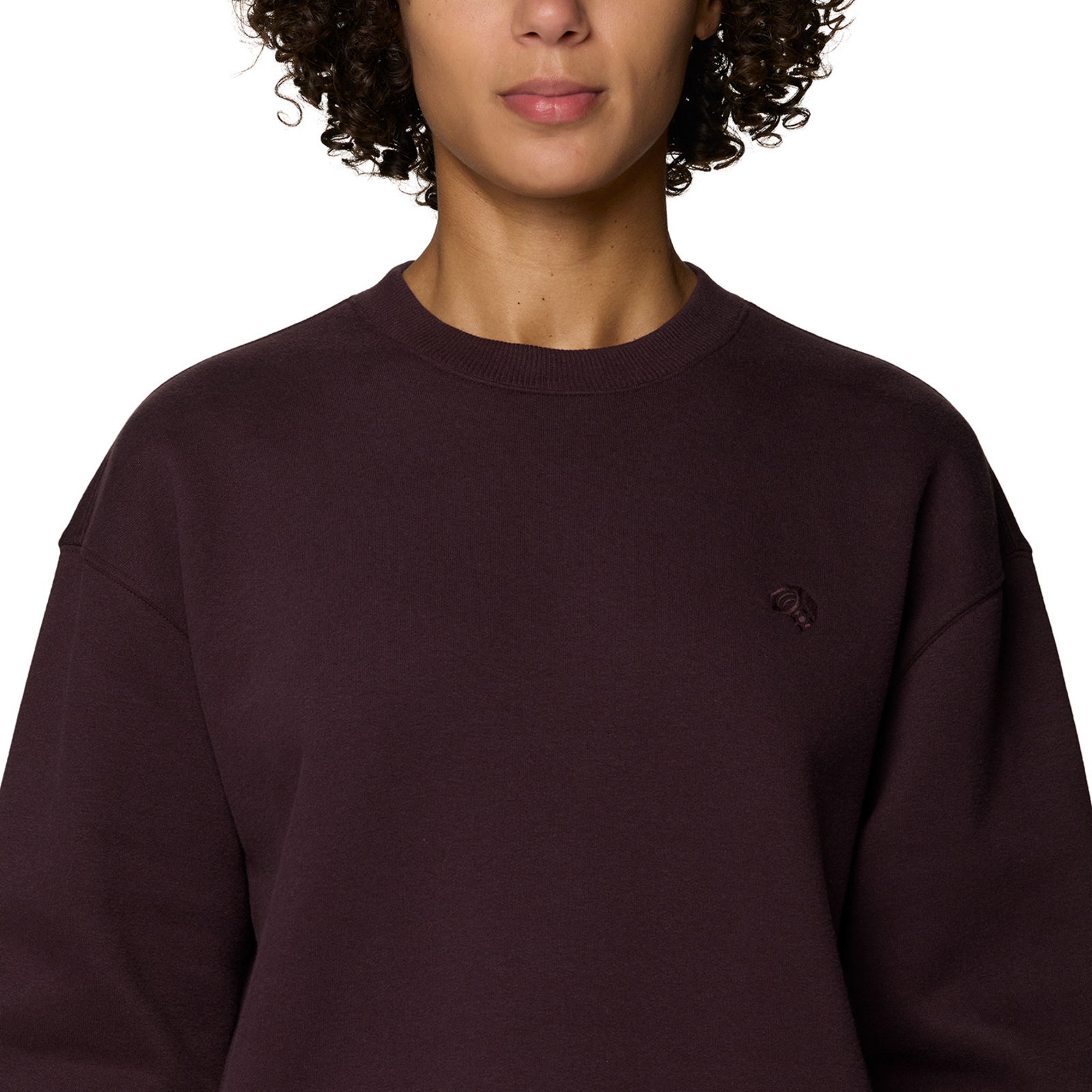 Mountain Hardwear W MHW™ Logo Pullover Crew in